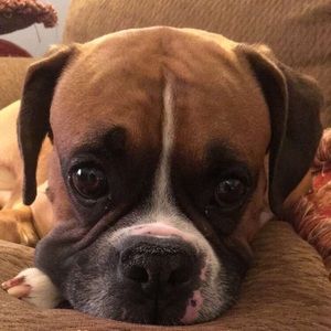 Meet your Posher, Chloe